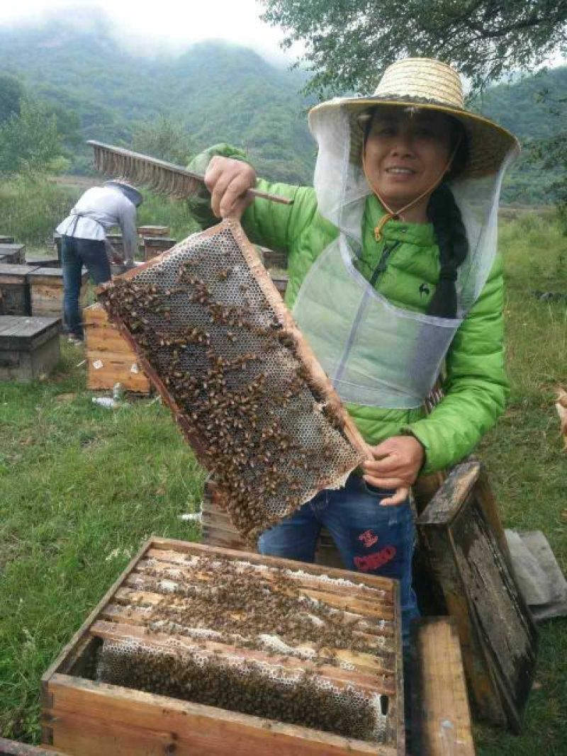 追花期采的纯槐花蜜，自家蜂蜜保证没喂糖假一赔命