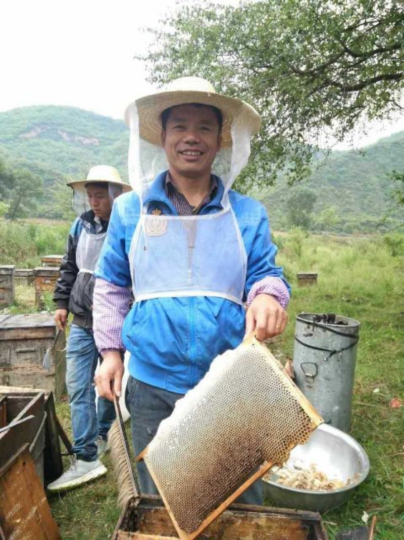 追花期采的纯槐花蜜，自家蜂蜜保证没喂糖假一赔命