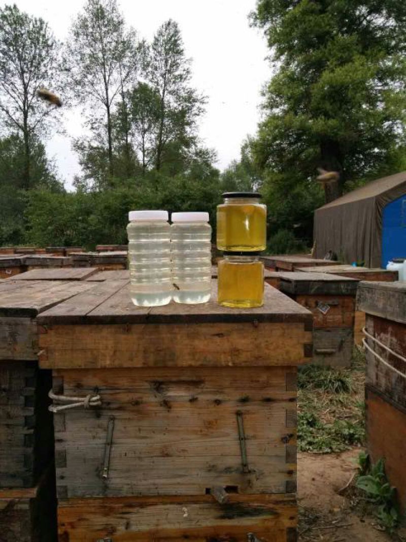 追花期采的纯槐花蜜，自家蜂蜜保证没喂糖假一赔命