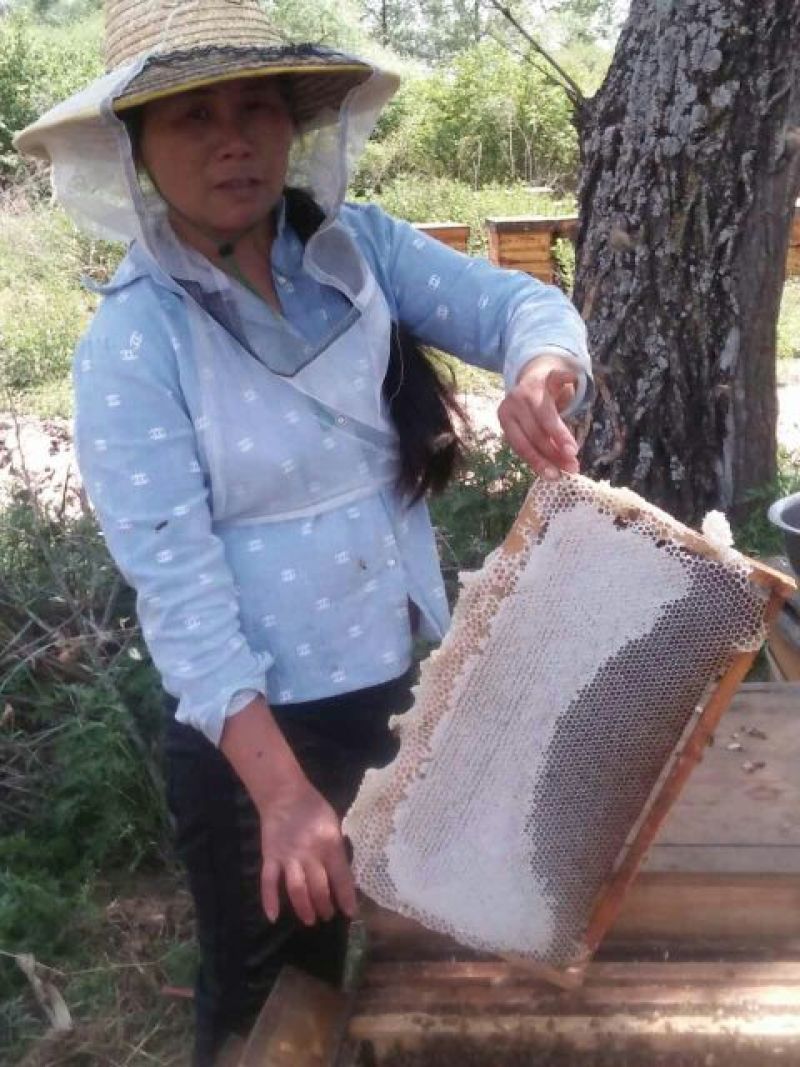 深山百花蜜，免费寄样本。纯蜜没喂糖，没药残留，支持化验。