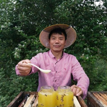 深山百花蜜，免费寄样本。纯蜜没喂糖，没药残留，支持化验。