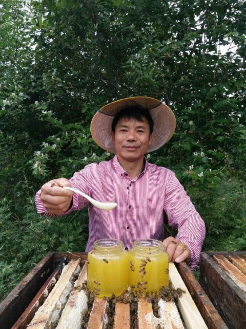 深山百花蜜，免费寄样本。纯蜜没喂糖，没药残留，支持化验。