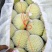 砀山梨光果300~350g