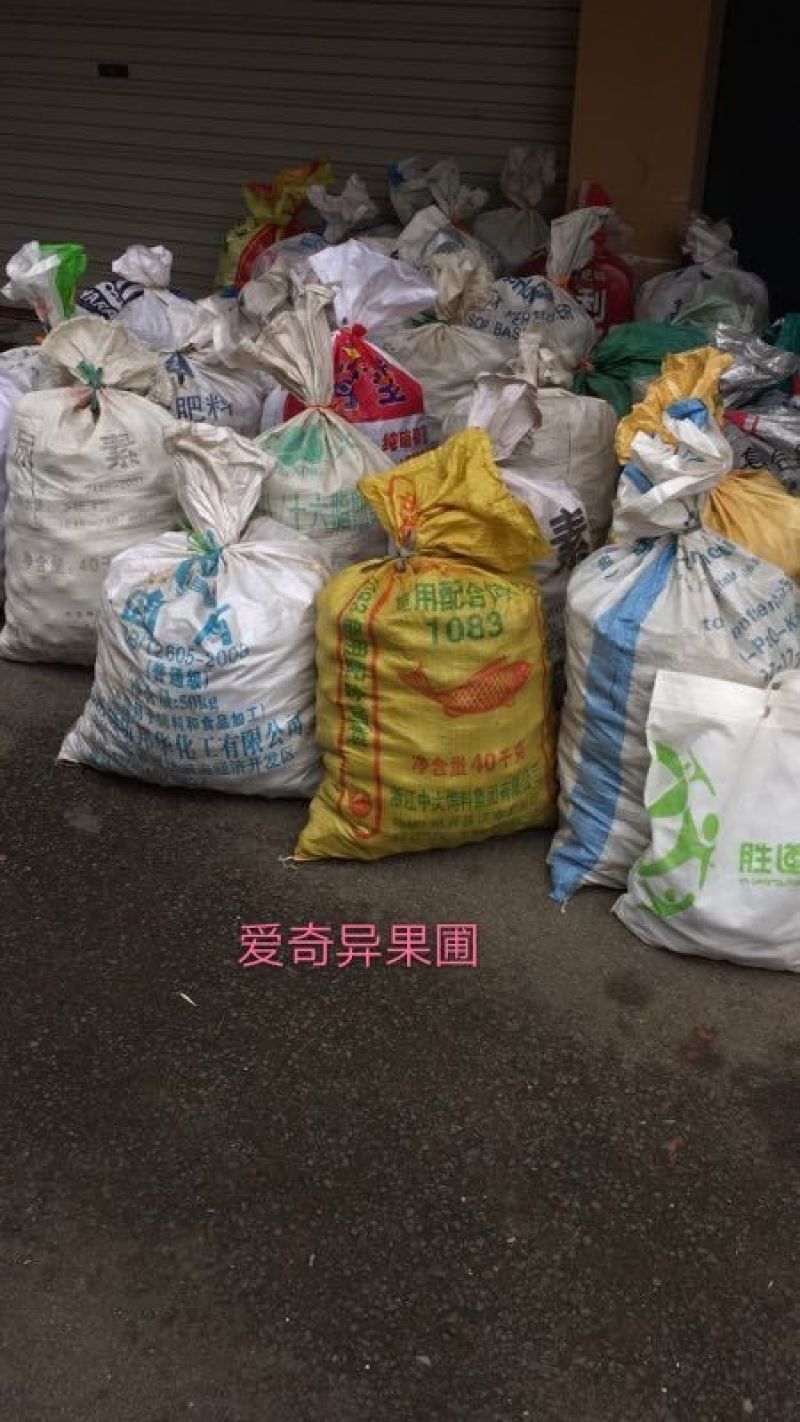 有需要的老板可以随时到果园看果（红阳红心猕猴桃）