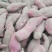 商薯193两以上白心