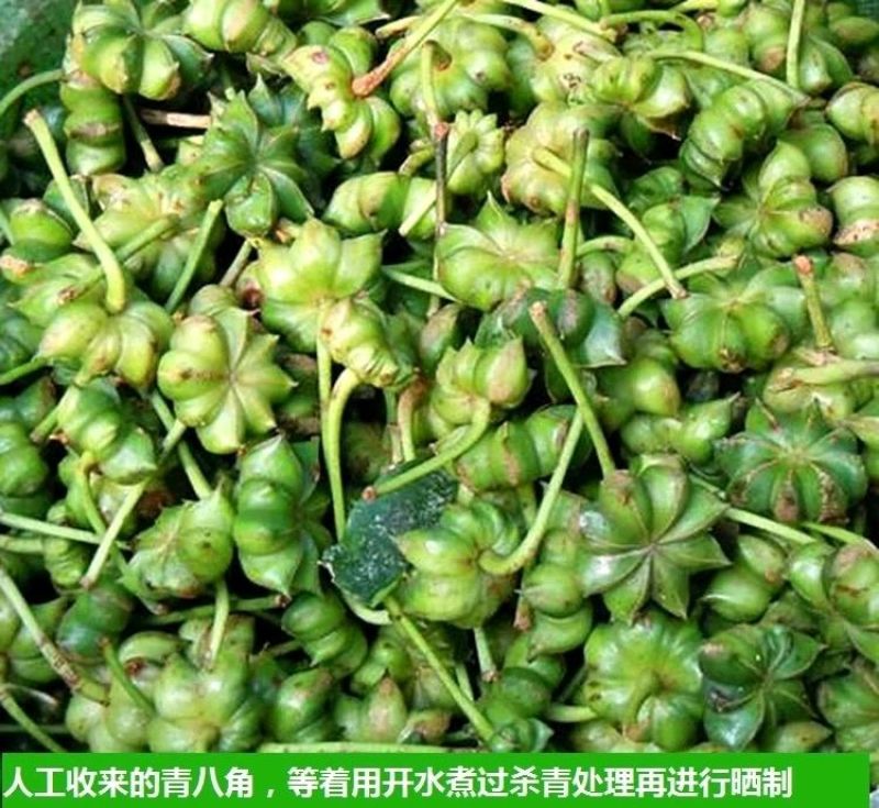 八角散装