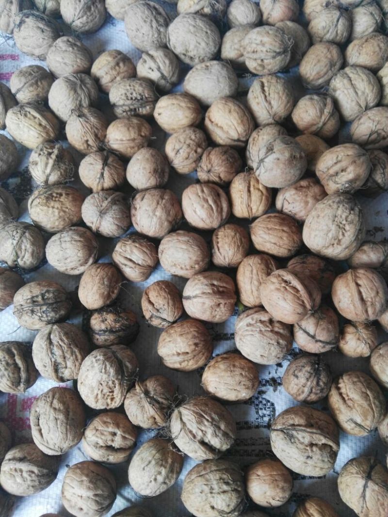 薄皮核桃去皮湿