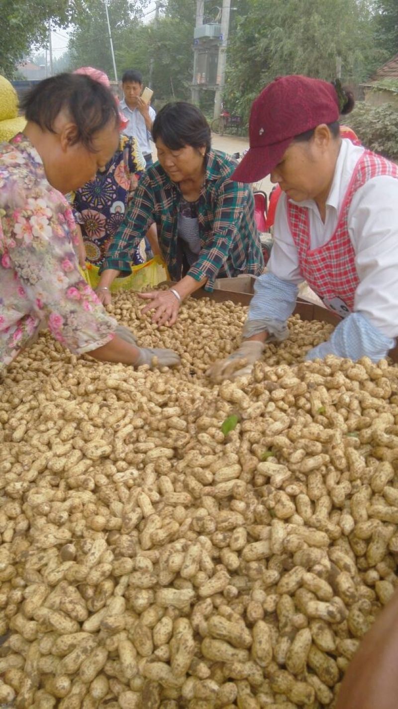 白沙系列鲜货带壳
