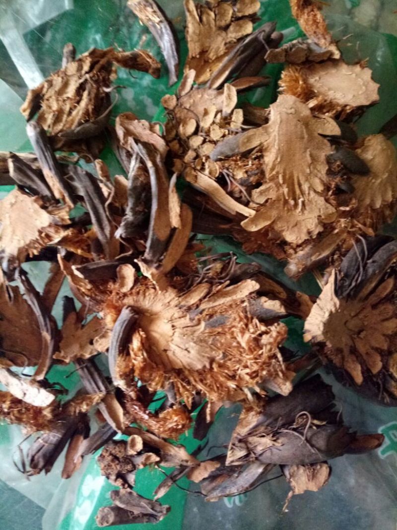 绵马贯众东北干货无硫熏天然晒干量大从优