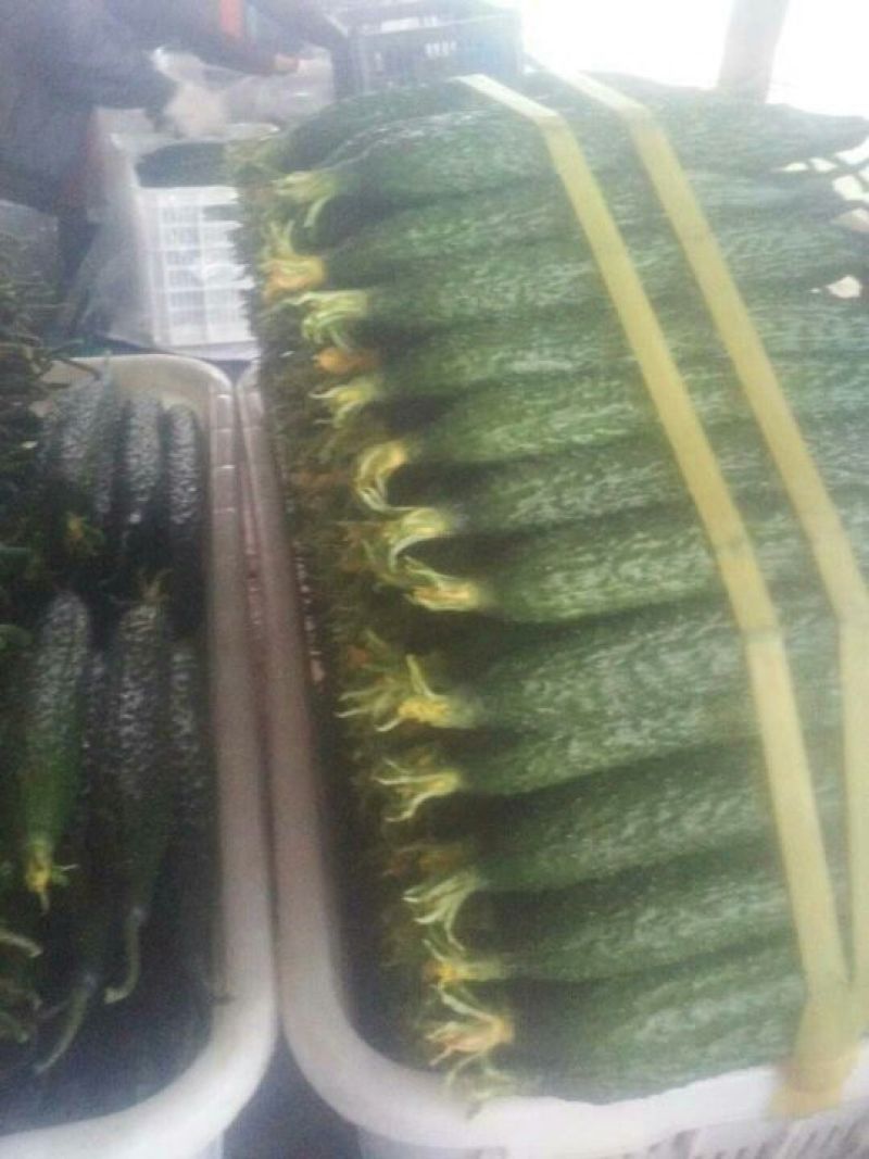 密刺黄瓜鲜花带刺25公分以上质量好价格低视频看货等您来电