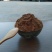 茶粕