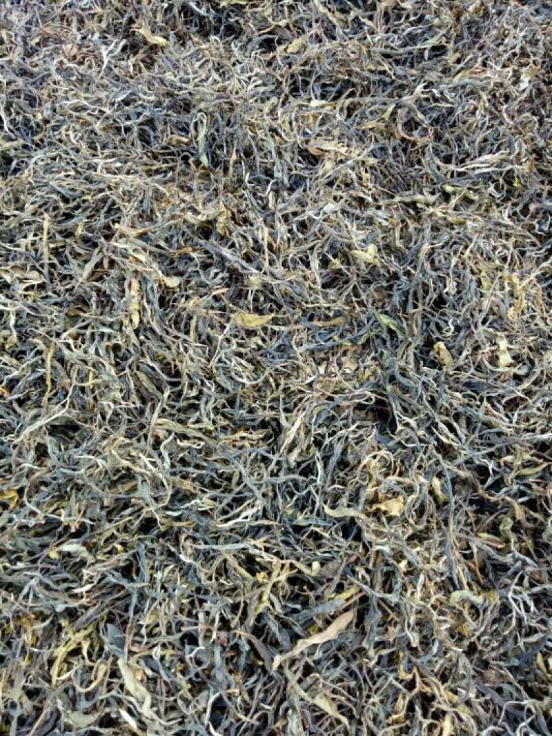 普洱茶一级