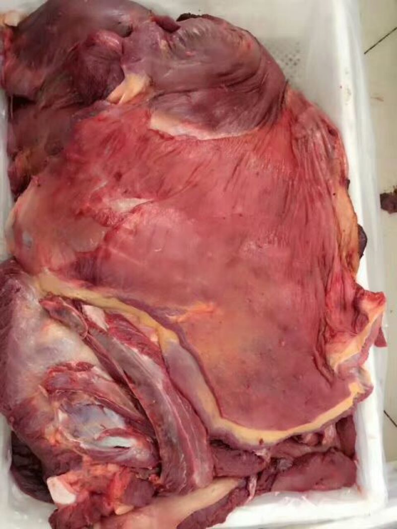 五香驴肉