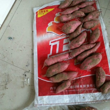 红薯2两以上白心
