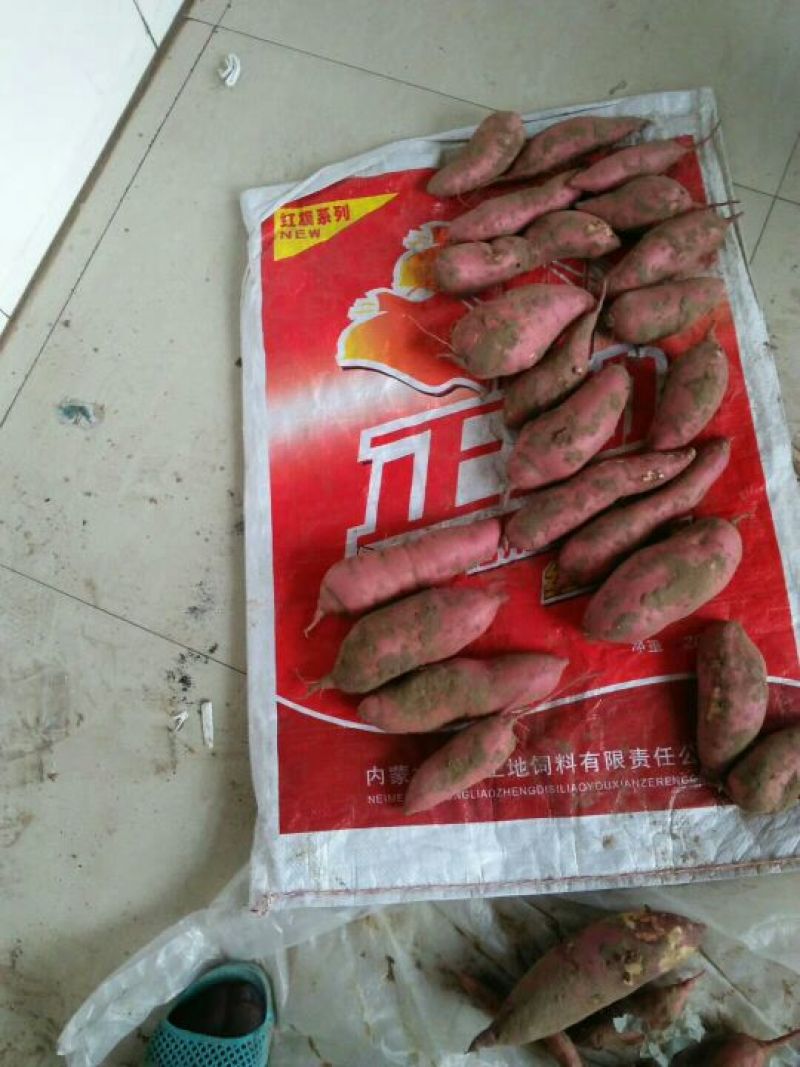 红薯2两以上白心