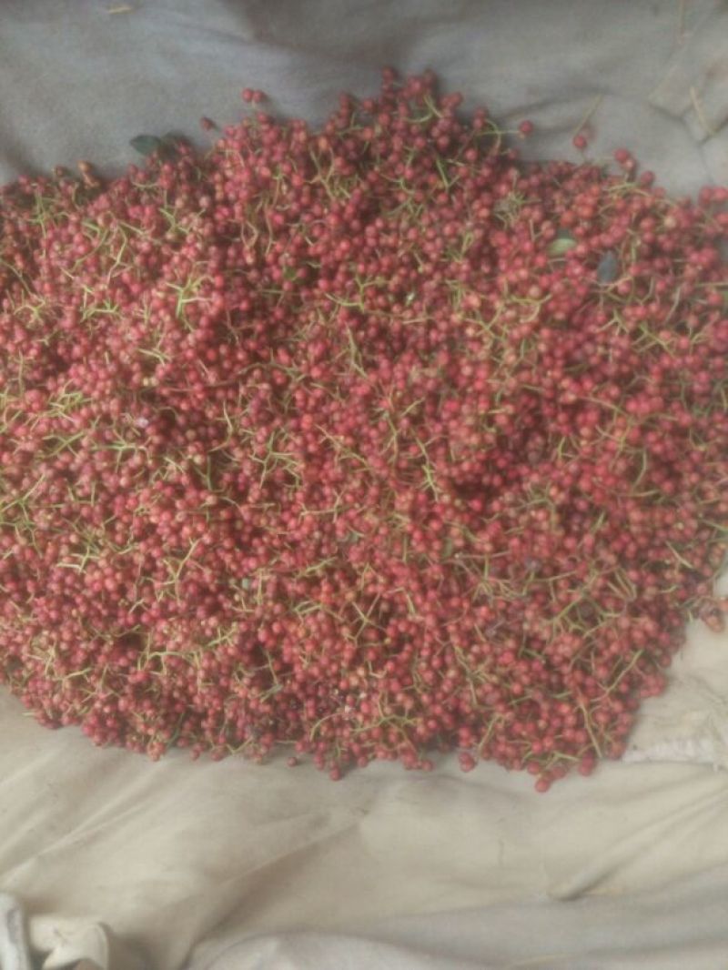 大红袍花椒特级干