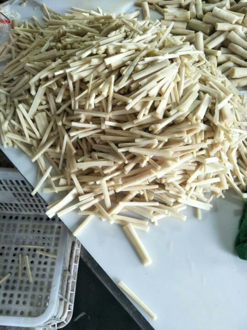 常年供应保鲜牛蒡，牛蒡茶，牛蒡颗粒