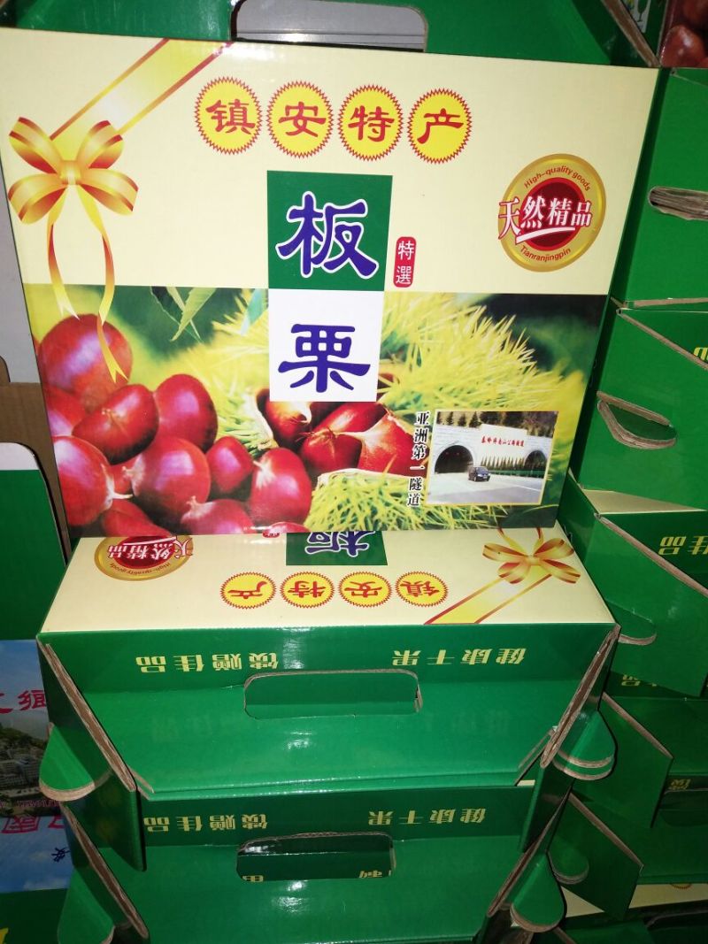 野生板栗炒栗种大标