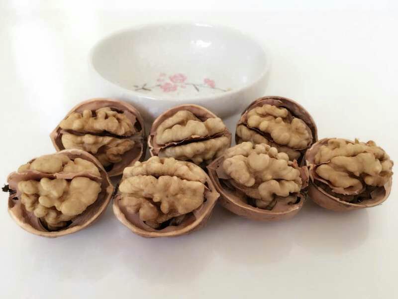 纸皮核桃30mm以上去皮干