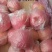 红富士苹果60mm以上膜袋