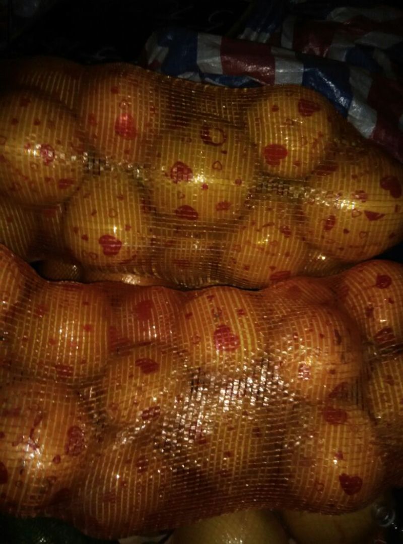 红肉蜜柚1.5斤以上