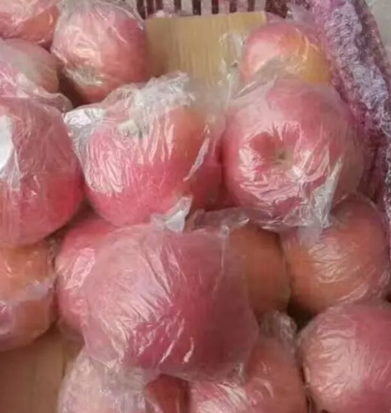 红富士苹果80mm以上膜袋