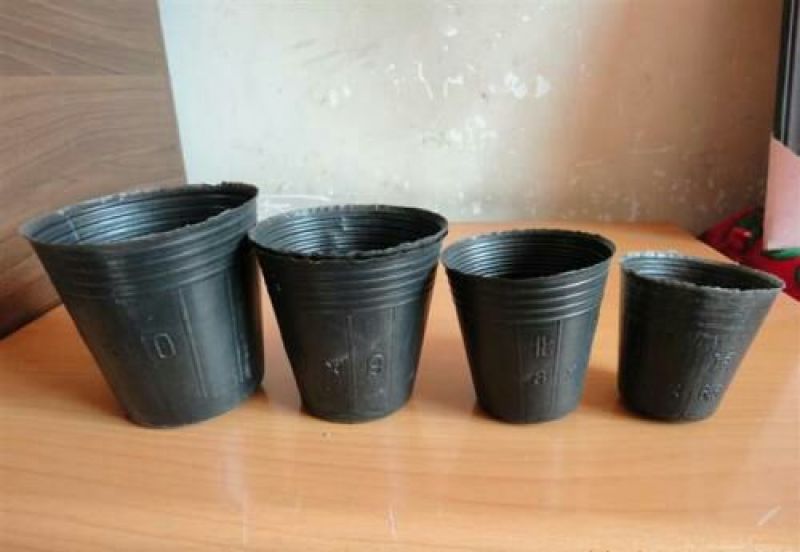 育苗杯营养钵育苗盆种植穴盘塑料营养袋育苗袋一次性花盆营