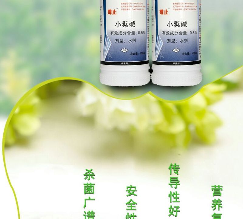 黄瓜番茄草莓灰霉病叶斑病霉止
