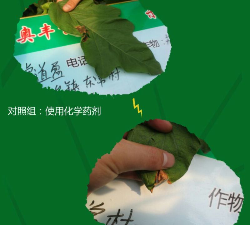 黄瓜番茄草莓灰霉病叶斑病霉止