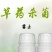 黄瓜番茄草莓灰霉病叶斑病霉止