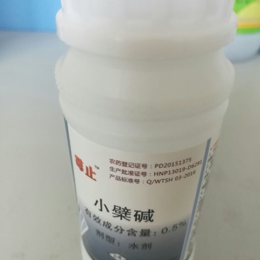 黄瓜番茄草莓灰霉病叶斑病霉止