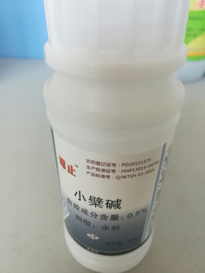 黄瓜番茄草莓灰霉病叶斑病霉止