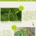 黄瓜番茄草莓灰霉病叶斑病霉止