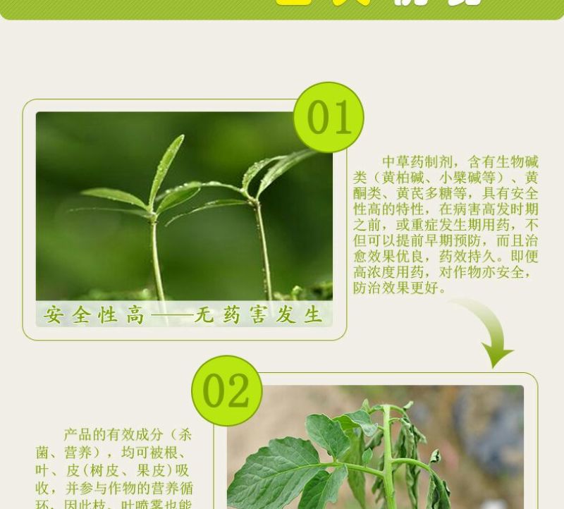 黄瓜番茄草莓灰霉病叶斑病霉止