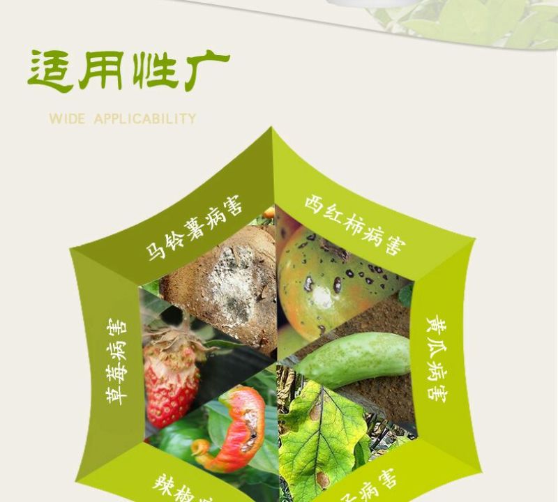 黄瓜番茄草莓灰霉病叶斑病霉止