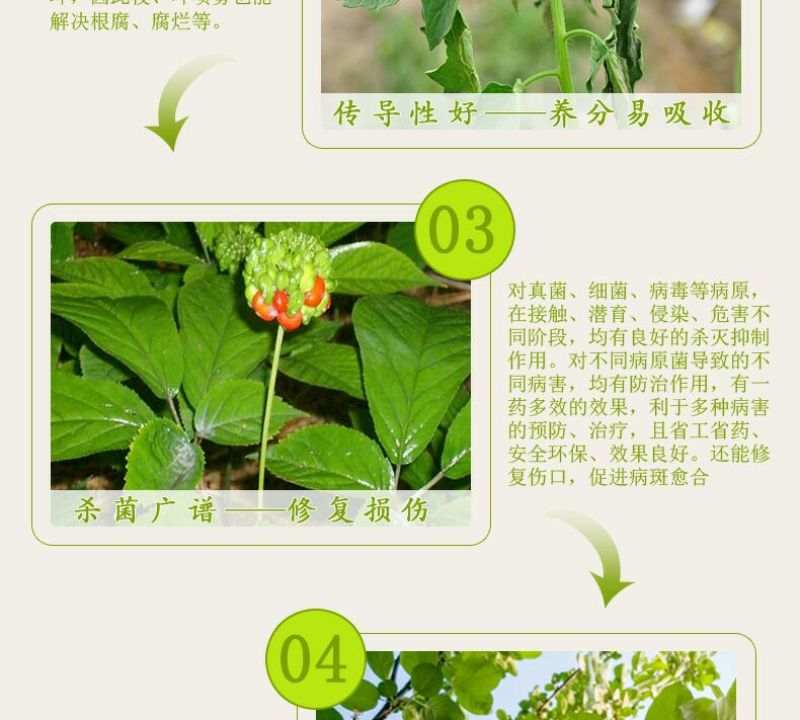 黄瓜番茄草莓灰霉病叶斑病霉止