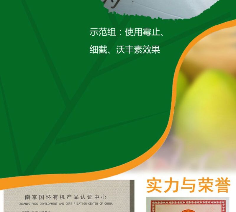 黄瓜番茄草莓灰霉病叶斑病霉止
