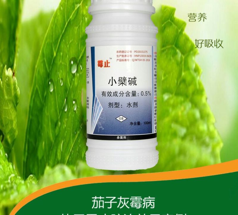 黄瓜番茄草莓灰霉病叶斑病霉止