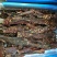牛肉干牦牛肉鲜肉