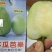 番石榴苗50~80cm