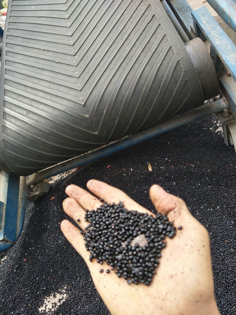 花椒种子