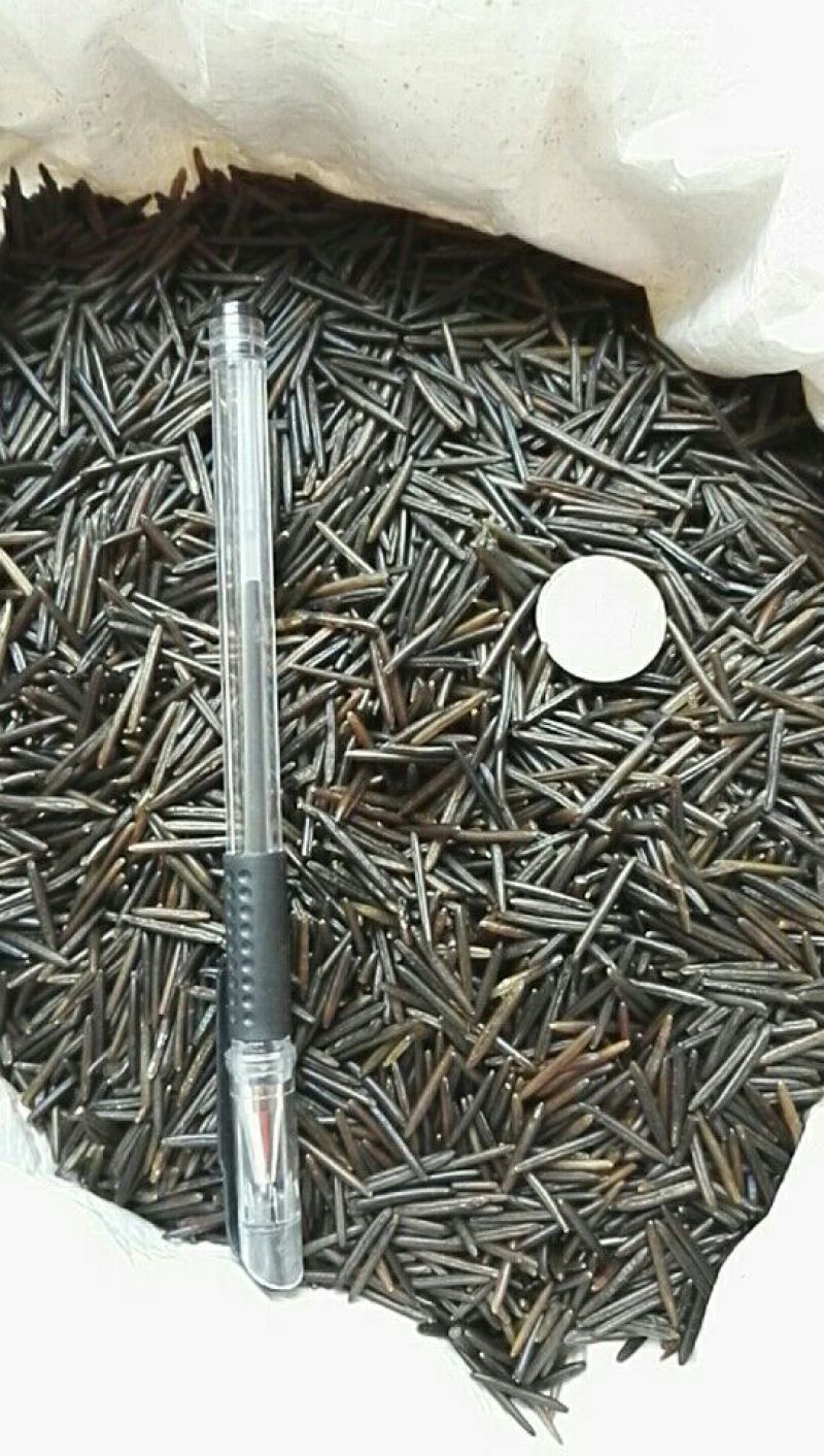 加拿大进口苏必利尔冰湖野米