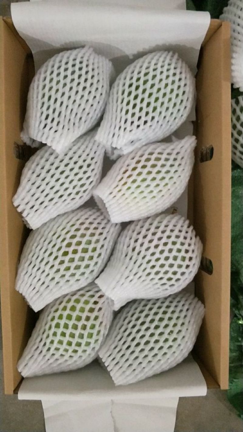 凯特芒15两以上承接线上线下市场批发商超配送一件代发