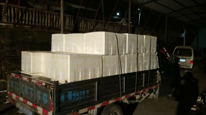 凯特芒15两以上承接线上线下市场批发商超配送一件代发