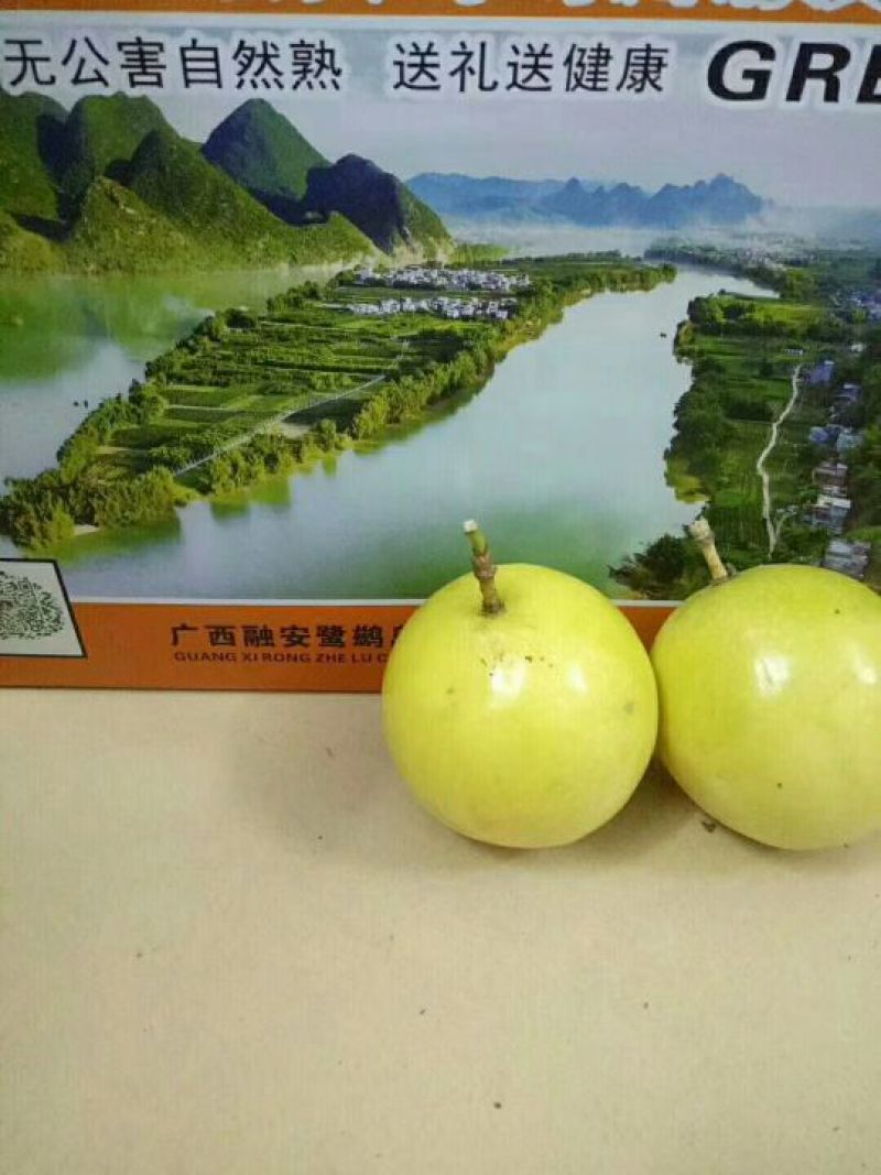 黄金百香果60~70g黄果
