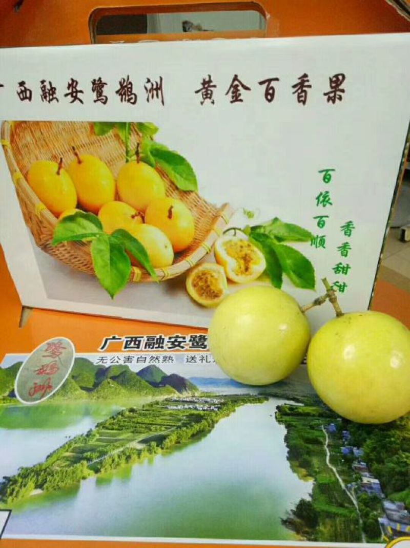 黄金百香果60~70g黄果
