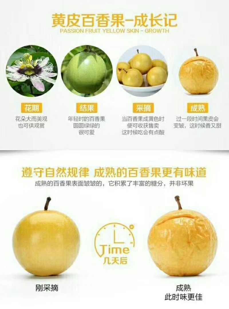 黄金百香果60~70g黄果