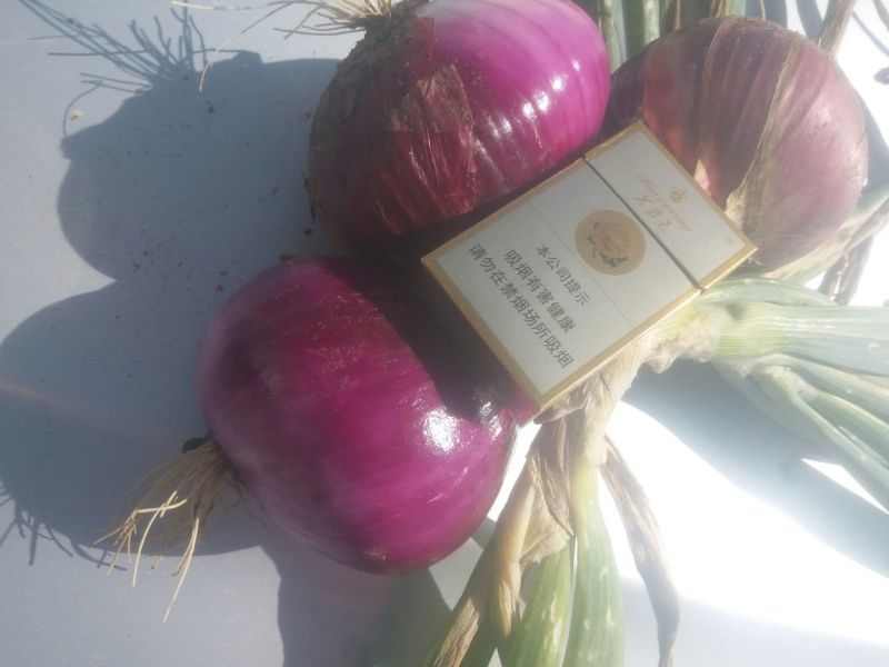 陕西精品红皮洋葱，一手货源，产地直发，欢迎咨询