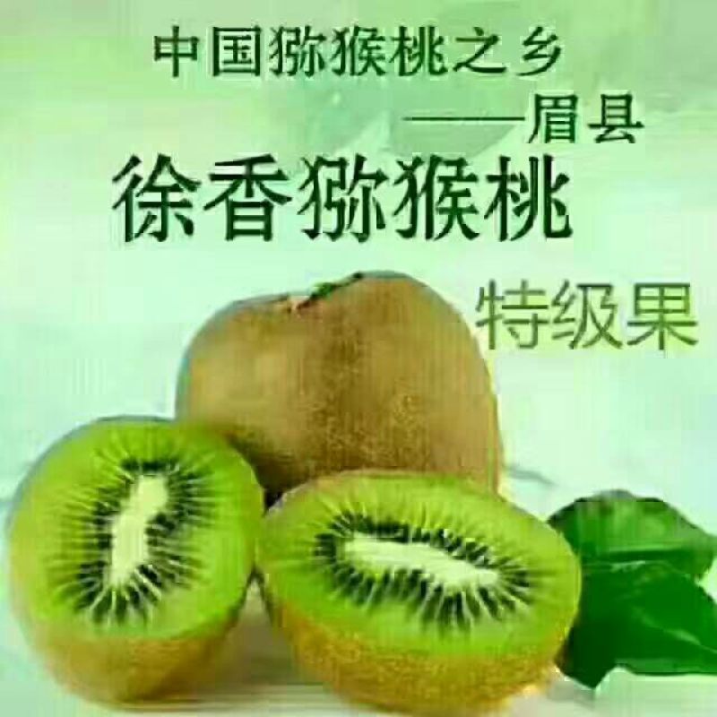 徐香猕猴桃70~90克