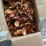 黄丝菌野生